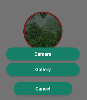 Taking image from Camera and Gallery in Kotlin